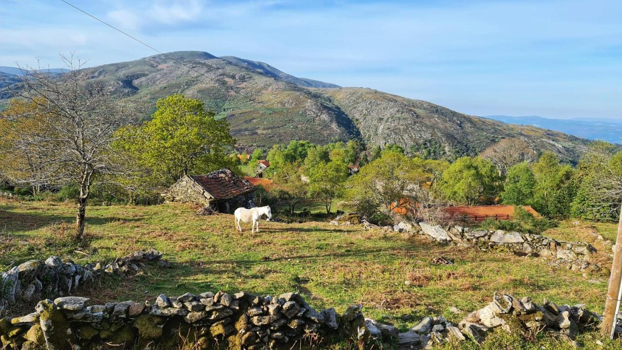 Branda de Santo António Cardenha Da Bessadaヴィラ エクステリア 写真